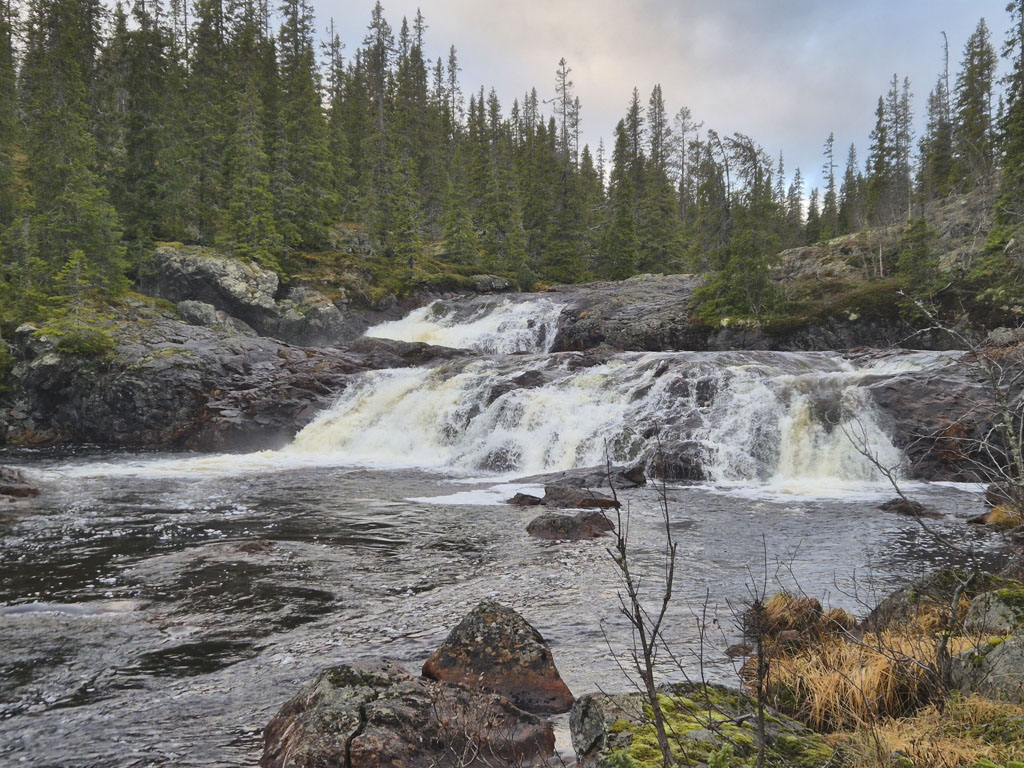 Bästa opaddlade creeken i Jämtland